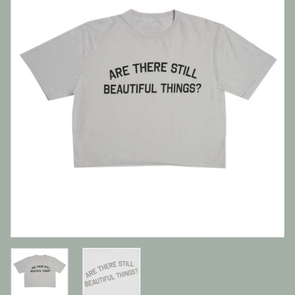 ARE THERE STILL BEAUTIFUL THINGS crop top XL